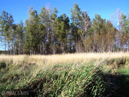 TBD Kestrel, Tamarack, MN 55787