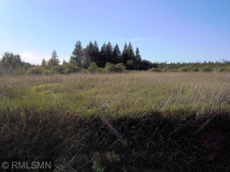 TBD Kestrel, Tamarack, MN 55787