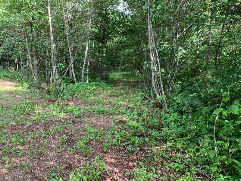 26440 County Road 10, Bovey, MN 55709
