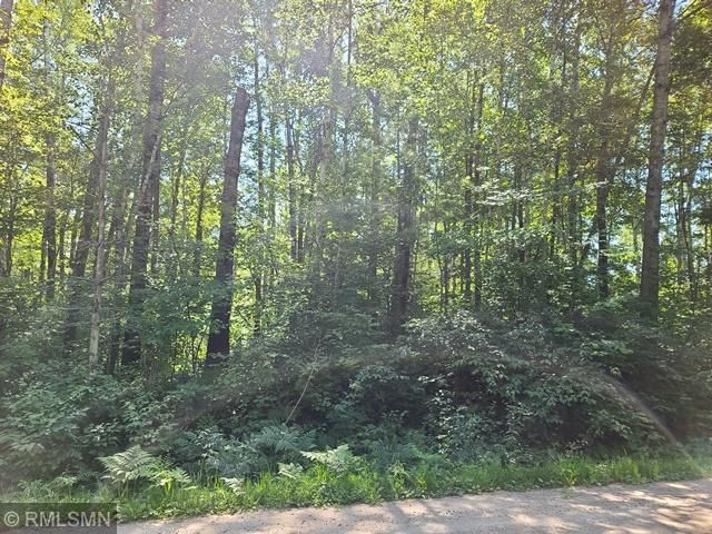 TBD Scenic Hwy 7, Bigfork, MN 56628