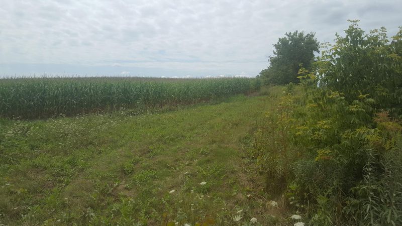 XXX Wilson Frontage Dr, Winona, MN 55987