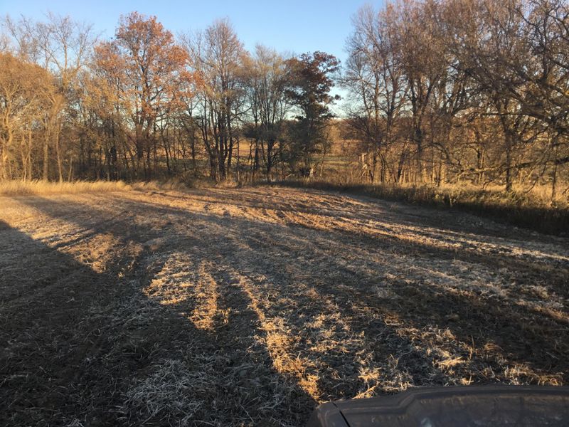 65 NE County Rd, Carlos, MN 56319