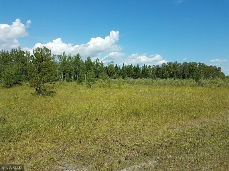 TBD Town Rd 112 Rd, Baudette, MN 56623