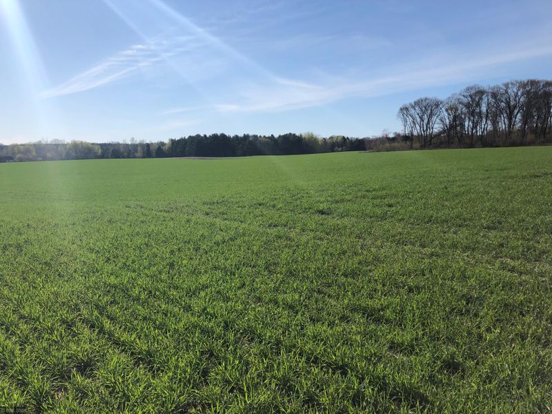 Lot 4 Lent Trl, Stacy, MN 55079