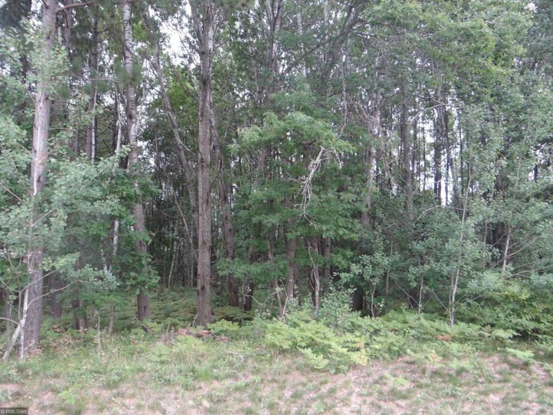 16364 Woodhaven Way, Brainerd, MN 56401