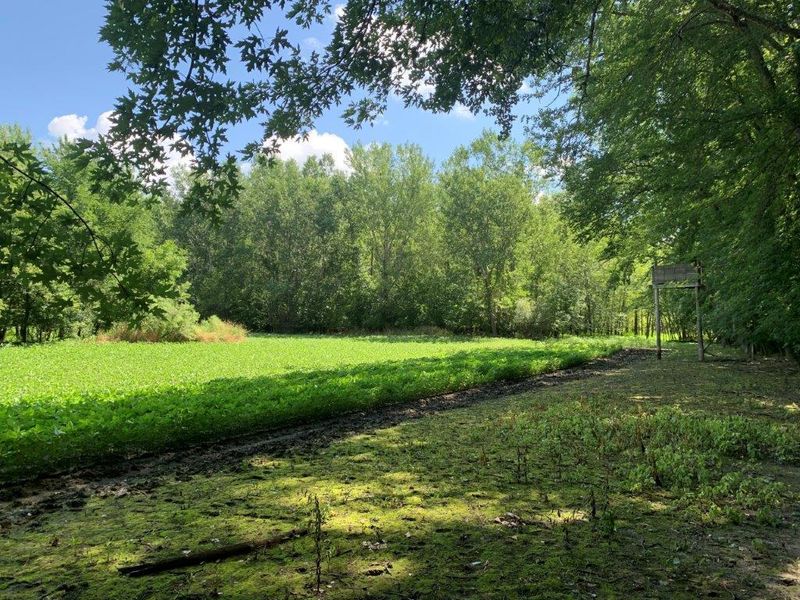XXX County Rd 5, Franklin, MN 55333
