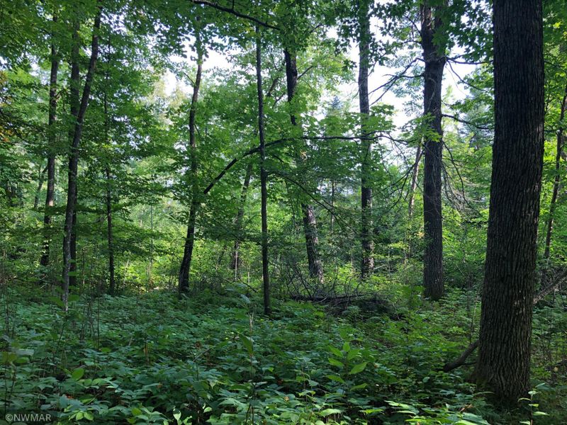 TBD Stump Lake Rd NE, Bemidji, MN 56601