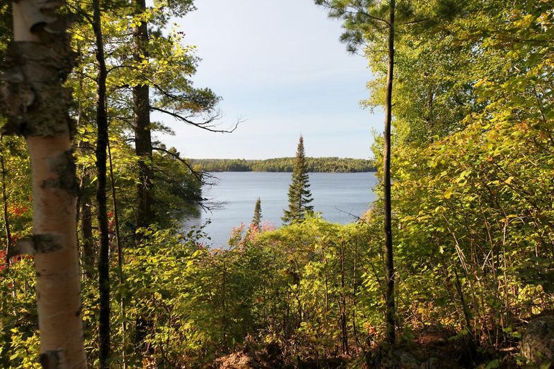 TBD Van Vac Rd, Ely, MN 55731