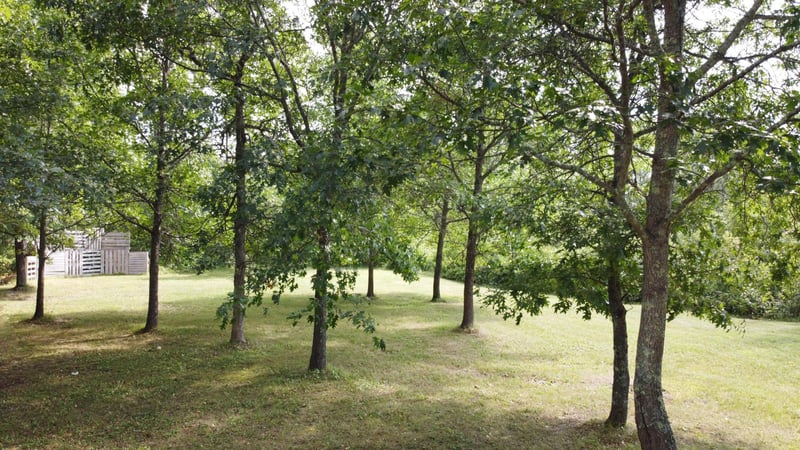 34648 Hay Creek Trl, Jenkins, MN 56474