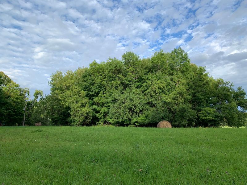 Lot A 287th Ln, Aitkin, MN 56431