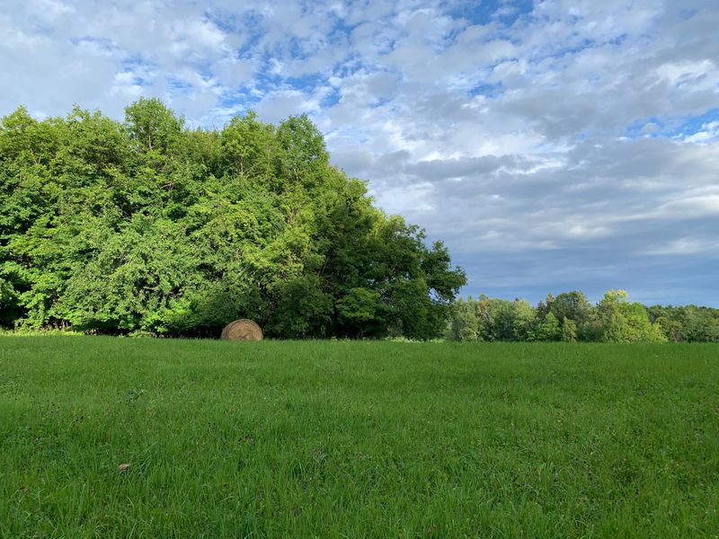Lot A 287th Ln, Aitkin, MN 56431