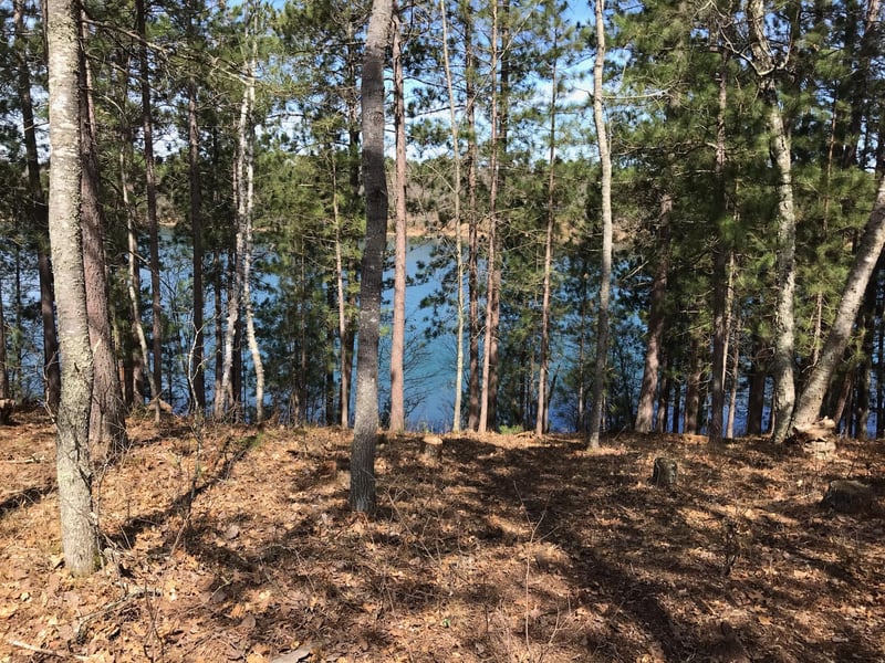 30983 Deer Lake Rd, Webb Lake, WI 54830