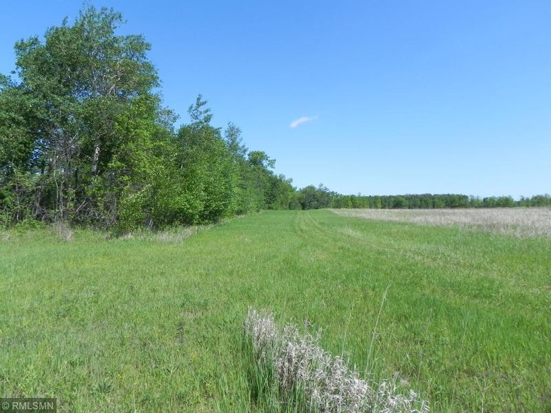 0 County Road 29, Pequot Lakes, MN 56472