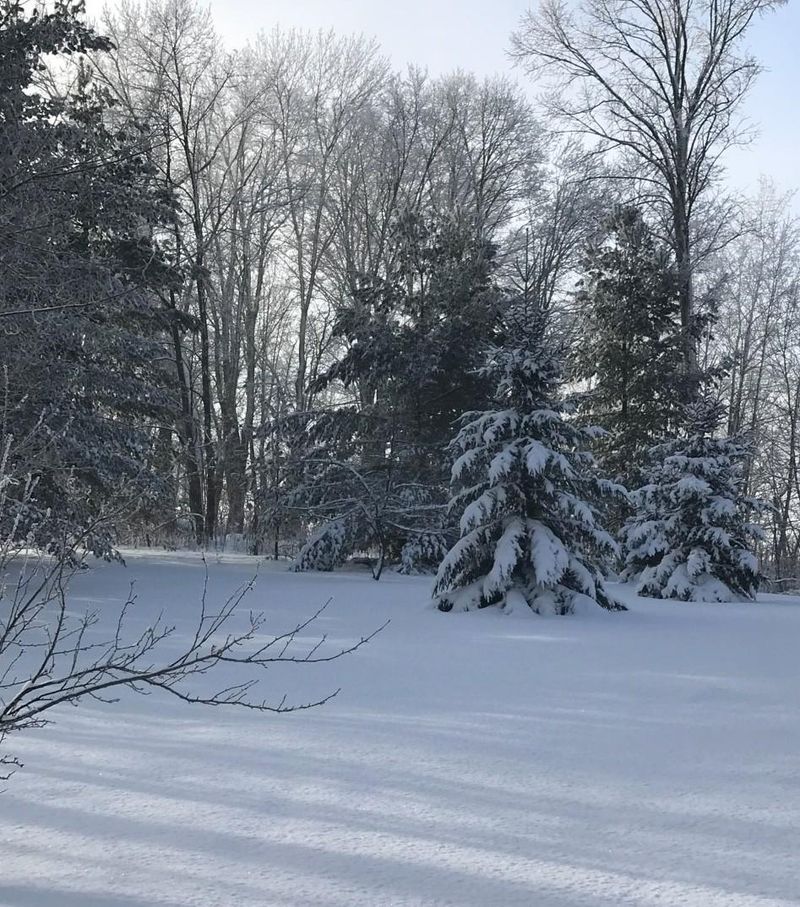 2204 18th St, Rice Lake, WI 54868