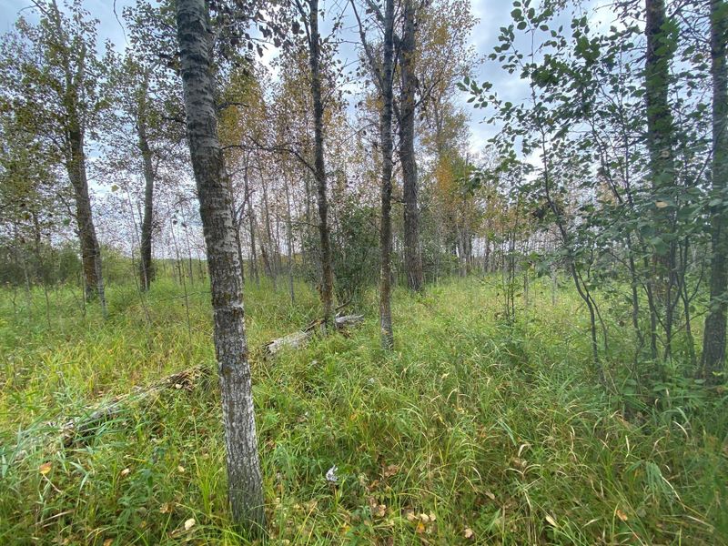XXX 480th St, Palisade, MN 56469