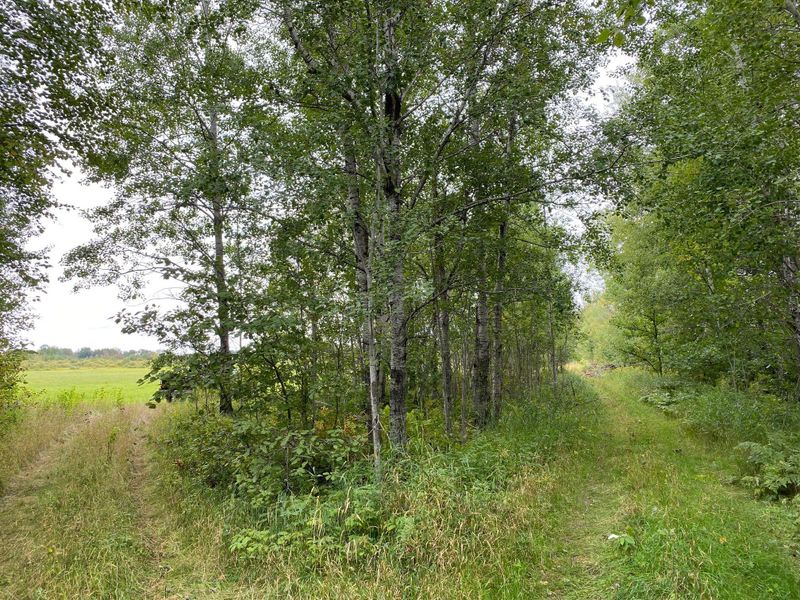 XXX 260th Ave, Palisade, MN 56469