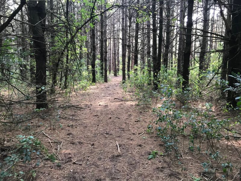Lot 67 534th St, Menomonie, WI 54751