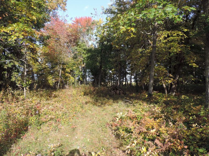 TBD Lot 14 Grouse Loop Nw, Walker, MN 56484