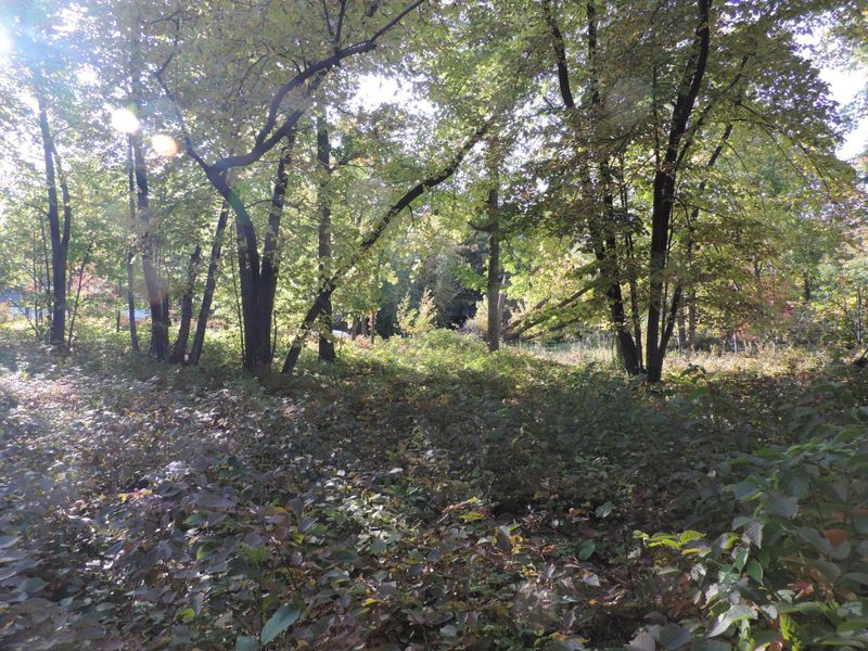 TBD Lot 14 Grouse Loop Nw, Walker, MN 56484