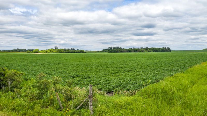 TBD 700th Street Hayfield, Hayfield, MN 55940