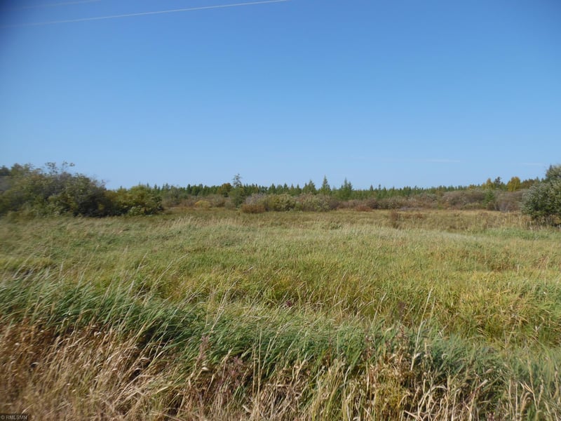 TBD County Road 428, Swan River, MN 55784