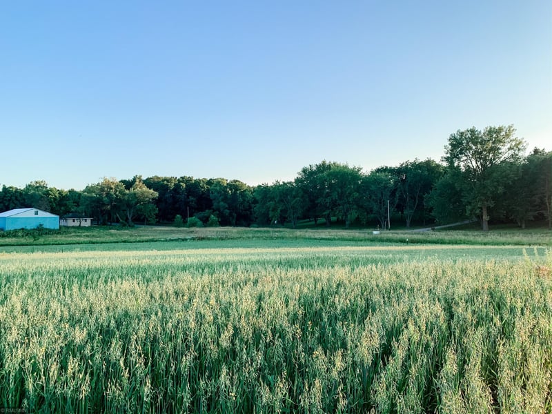 673X Rolling Hills Rd, Hamel, MN 55340