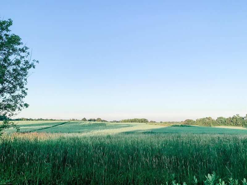 673X Rolling Hills Rd, Hamel, MN 55340