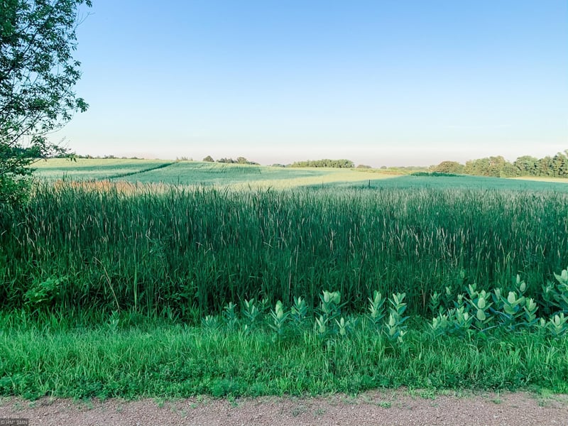 673X Rolling Hills Rd, Hamel, MN 55340