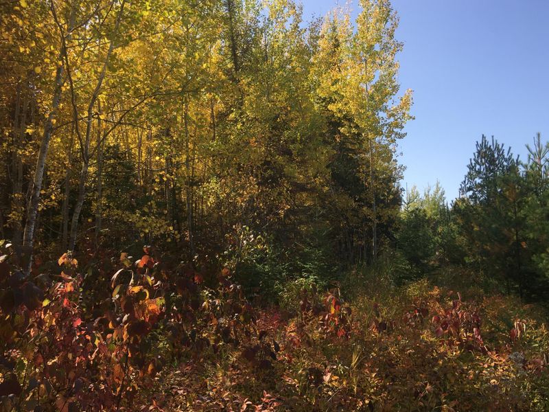 TBD North Creek Dr, Biwabik, MN 55708