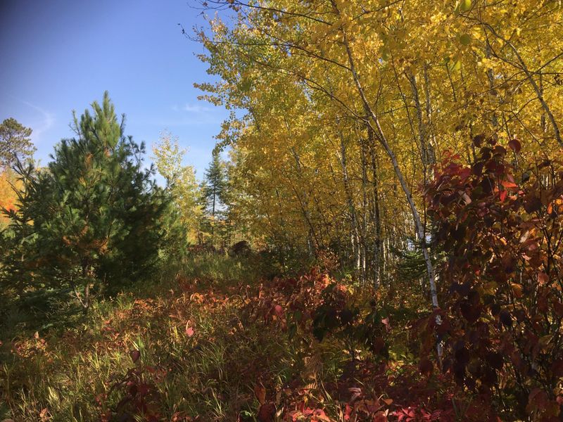TBD North Creek Dr, Biwabik, MN 55708