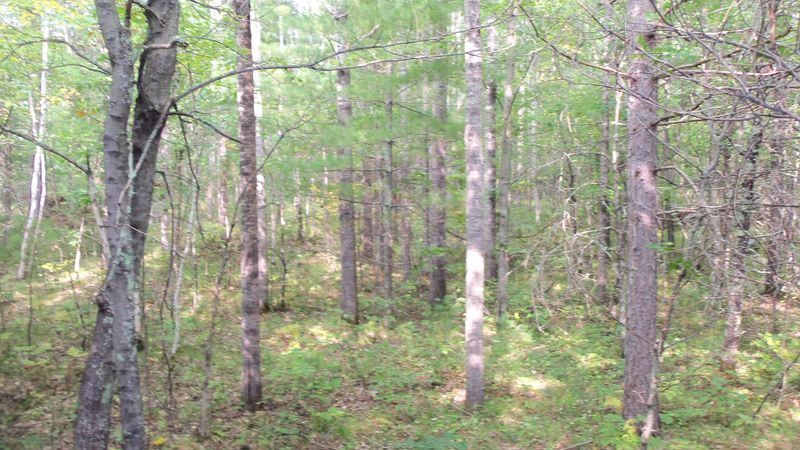 LOT 3 Firefly Ln, Webster, WI 54893