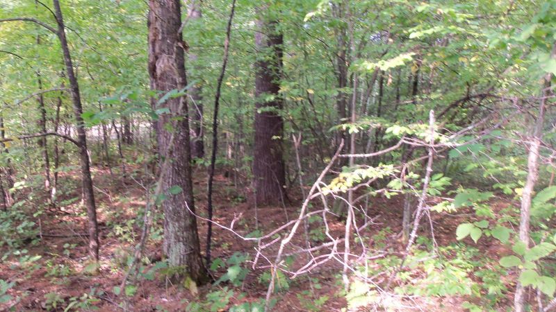 LOT 4 Firefly Ln, Webster, WI 54893
