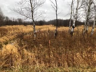 0000 Holly St, Braham, MN 55006