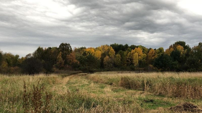 0000 Holly St, Braham, MN 55006