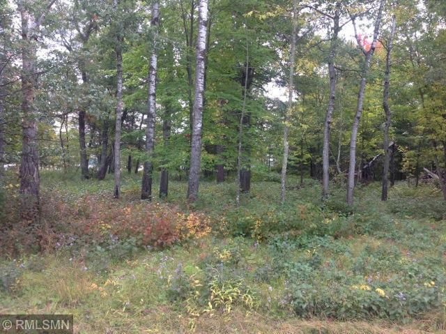 XXXX Highway 84, Pine River, MN 56474