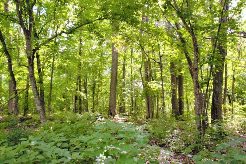 TBD Bowens Rd, Deer River, MN 56636