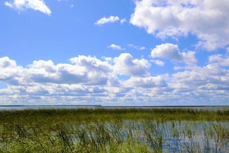 TBD Bowens Rd, Deer River, MN 56636