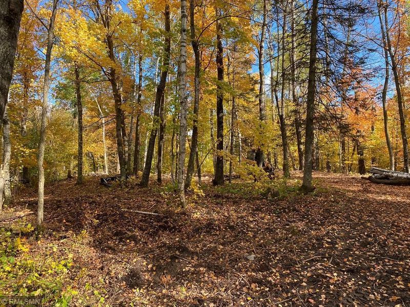 XXXX Clough Rd, Pine River, MN 56474