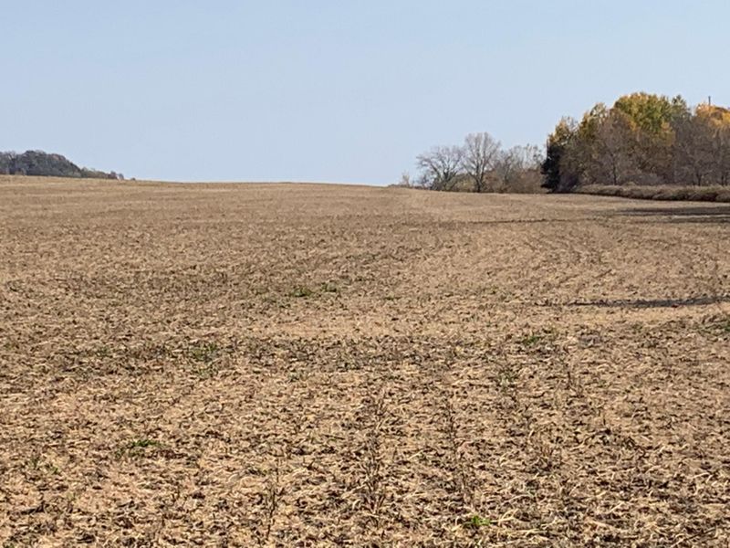 TBD County Rd 5 #38.36Ac, Pine Island, MN 55963