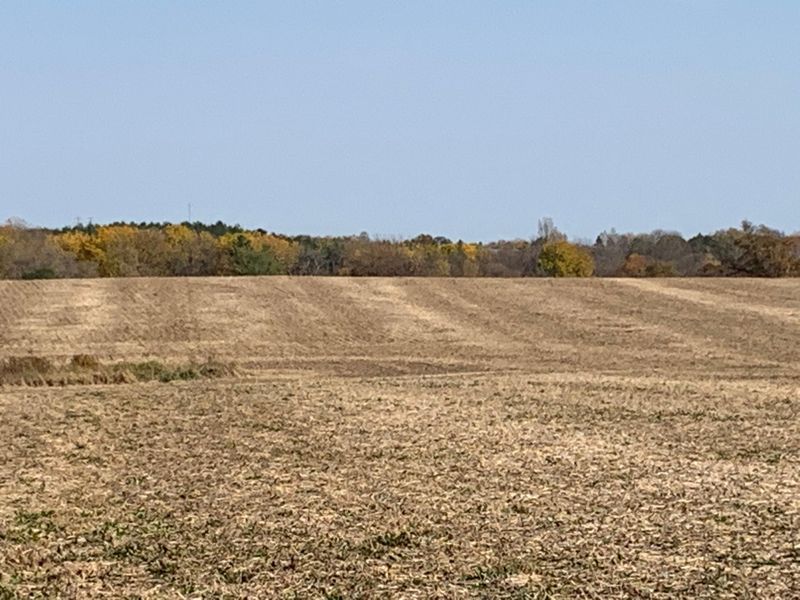 TBD County Rd 5 #38.36Ac, Pine Island, MN 55963