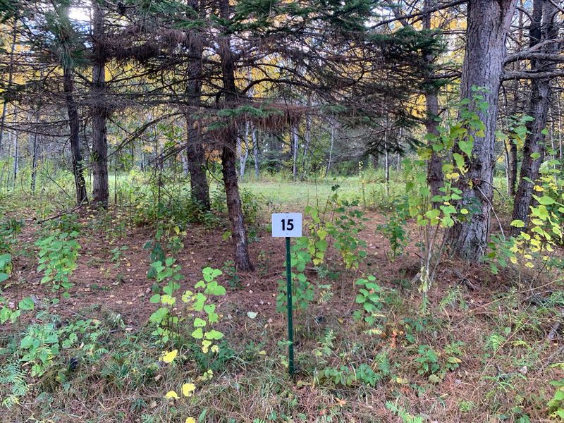 LOT15 BLK2 Owl Ave, Aitkin, MN 56431