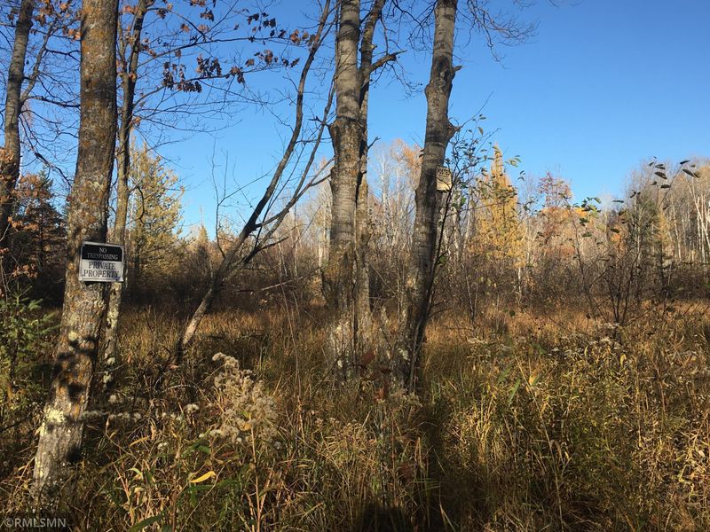 TBD Pliny Twp, Mc Grath, MN 56350