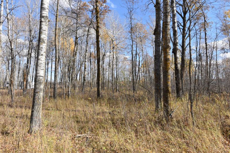 TBD 435th Ln, Palisade, MN 56469