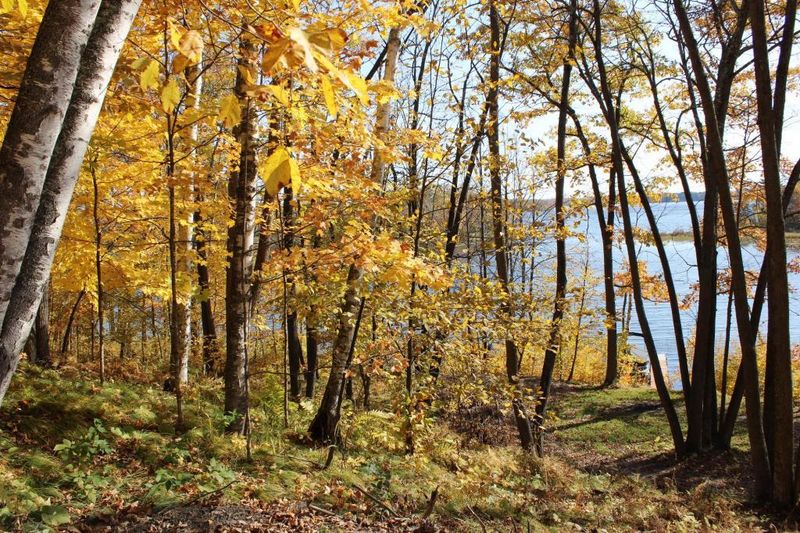 Lot 5 Blk 1 Shadow Point, Emily, MN 56447