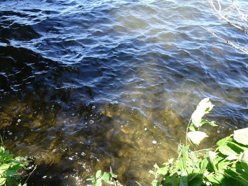 TBD Lot 4 Echo Pine Trail Ne, Remer, MN 56672