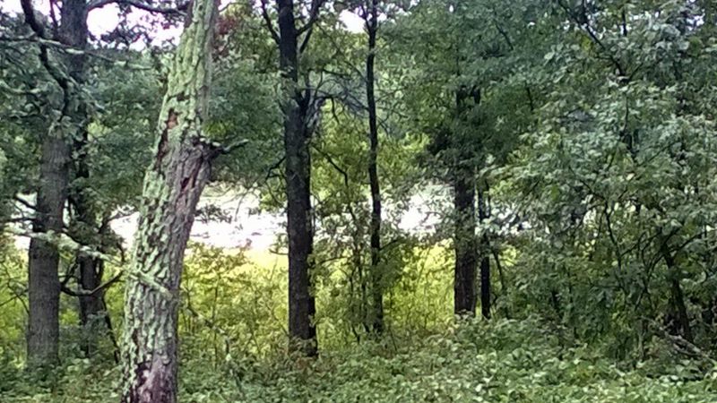TBD Lot 11 Preserve Cir, Baxter, MN 56425