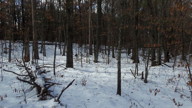 LOT 5 Firefly Ln, Webster, WI 54893