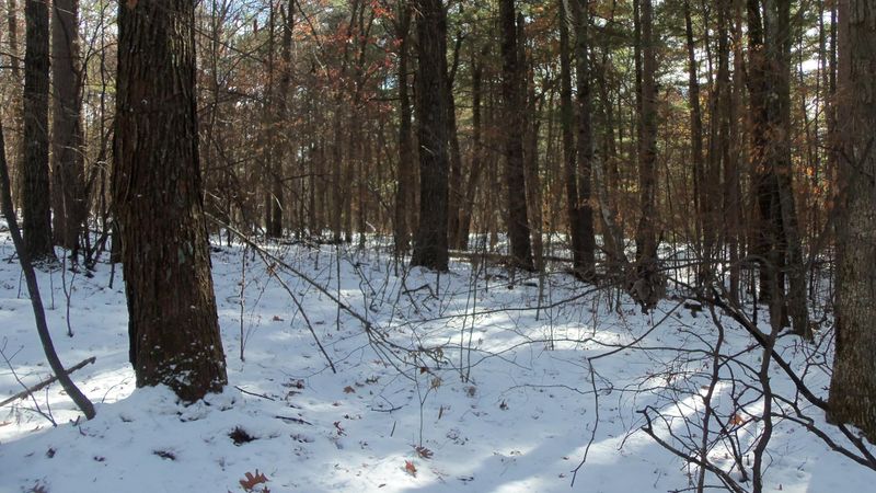 LOT 6 Firefly Ln, Webster, WI 54893