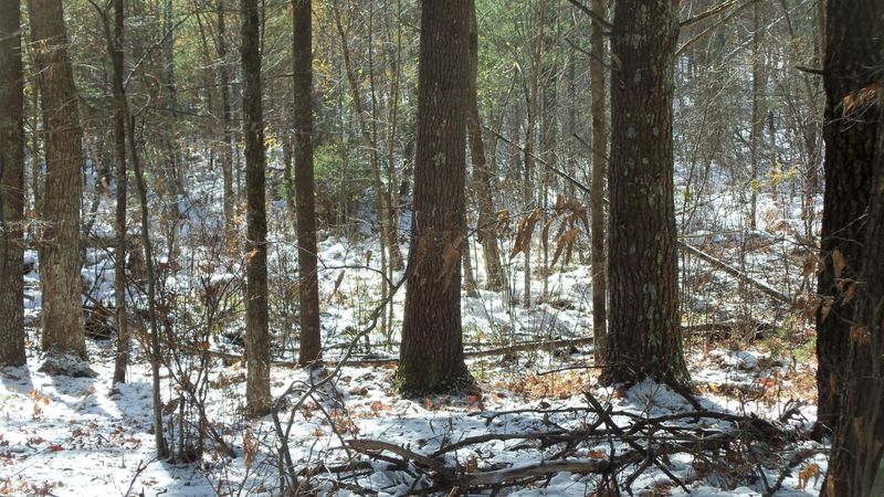 LOT 7 Firefly Ln, Webster, WI 54893