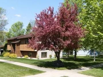 425 E Alcott Ave, Fergus Falls, MN 56537